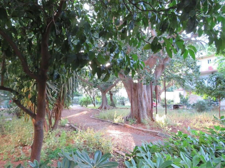 פלרמו Relax Nel Verde- Giodapi Palm מראה חיצוני תמונה